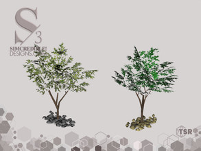 Sims 3 — Natural Camouflage Tree by SIMcredible! — SIMcredibledesigns.com