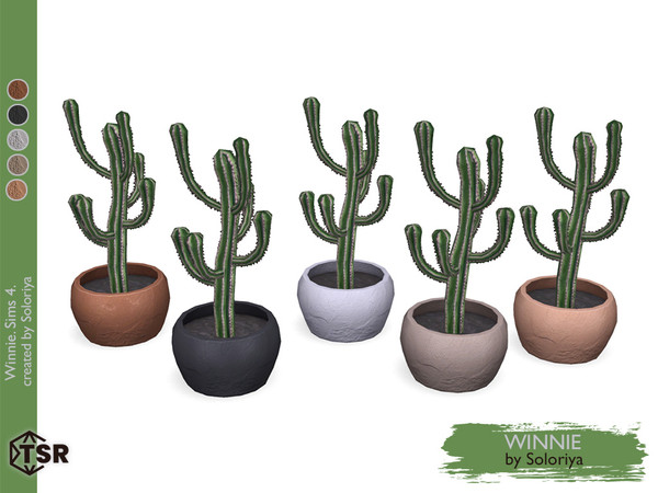 Sims 4 — Winnie. Cactus, v1 by soloriya — Decorative cactus. Part of Winnie set. 5 color variations. Category: Decorative