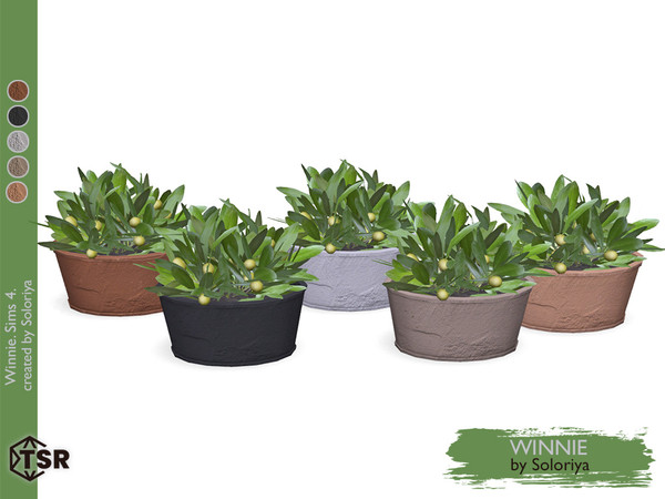 Sims 4 — Winnie. Olive by soloriya — Decorative olive. Part of Winnie set. 5 color variations. Category: Decorative -