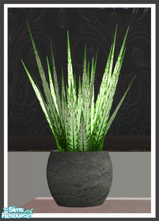 Sims 2 — Serene Plant by simtomatic — 