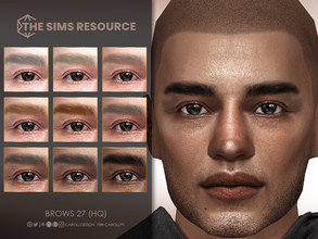 Sims 4 — Brows 27 (HQ)  by Caroll912 — A 9-swatch bushy eyebrows in different tones of black, brown, auburn, grey and