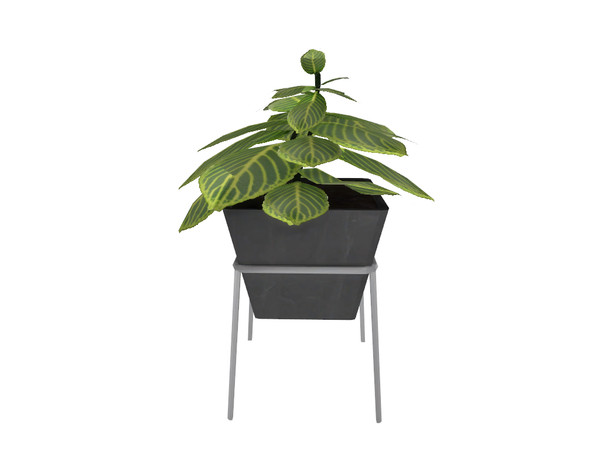 Sims 4 — Novato Big Plant by Onyxium — Onyxium@TSR Design Workshop Living Room Collection | Belong To The 2023 Year