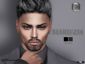 Sims 4 — BEARD Z34 by ZENX — -Base Game -All Age -For Female -2 colors -Works with all of skins -Compatible with HQ mod