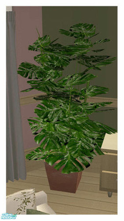 Sims 2 — Serene Living Set - Swiss Cheese Plant by simtomatic — 