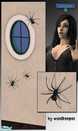 Sims 2 — Wall spider 1 by Windkeeper — Decorative Black Widow spider with new interaction. Direct your sims to "Get