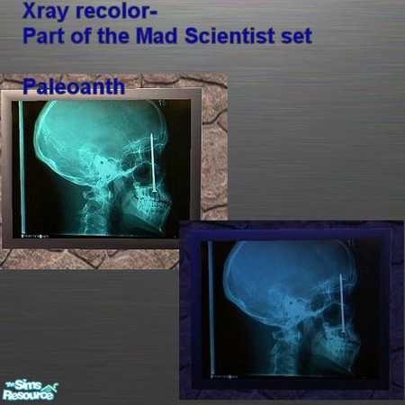 Sims 2 — Mad Scientist set - XRay Recolor by Paleoanth — That looks like it hurt. 