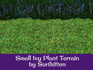 Sims 4 — Small Ivy Plant Terrain by Surfkitten — Recolored base game terrain with small ivy plants.