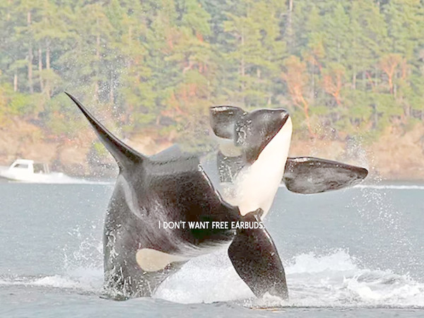 Sims 4 — Orca Breaching Water by JCW2006 — So I have always loved Orcas I think they are amazingly beautiful animals so