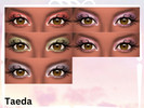 Sims 4 — Enchanted Rose by Taeda — Enchanted Rose is an eyeshadow inspired by a rose. Enjoy :)