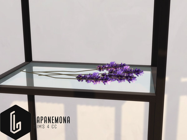 Sims 4 — HEX - Modern witch living room - Dried plants by Lapanemona — Dried plants - 194 polygons - 5 swatches