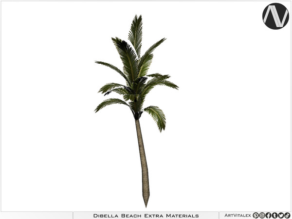 Sims 4 — Dibella Palm Tree by ArtVitalex — 