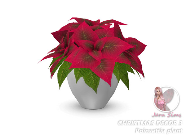 Sims 4 — Christmas decor 3 - Poinsettia plant| jarusims by Jaru_Sims — I wish you all a Merry Christmas and a Happy New