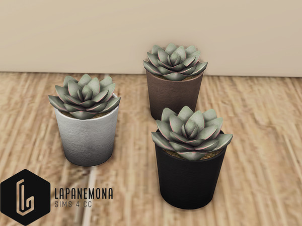 Sims 4 — Tiny succulent - Moody hallway by Lapanemona — Your entryway is the introduction to your home so it should be