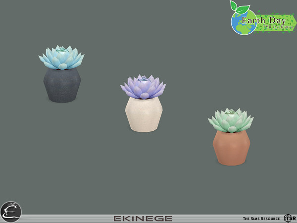 Sims 4 — Earth Day - Living Room - Echeveria-Plant by ekinege — Earth Day - Living Room Collection features 14 new items.