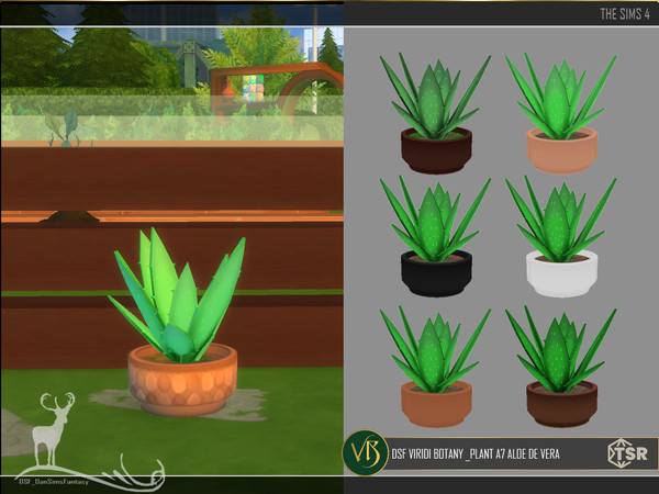 Sims 4 — DSF VIRIDI BOTANY _PLANT A7 ALOE DE VERA by DanSimsFantasy — You can have this group of plants in your garden or