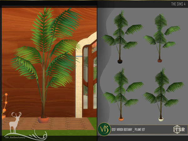 Sims 4 — DSF VIRIDI BOTANY _ PLANT B7 by DanSimsFantasy — These plants can contribute to the beauty or decoration of your