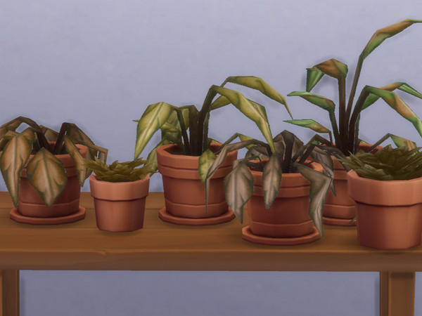 Sims 4 — Small Dead Potted Plant by jasey234 — 2 dead Base Game plants