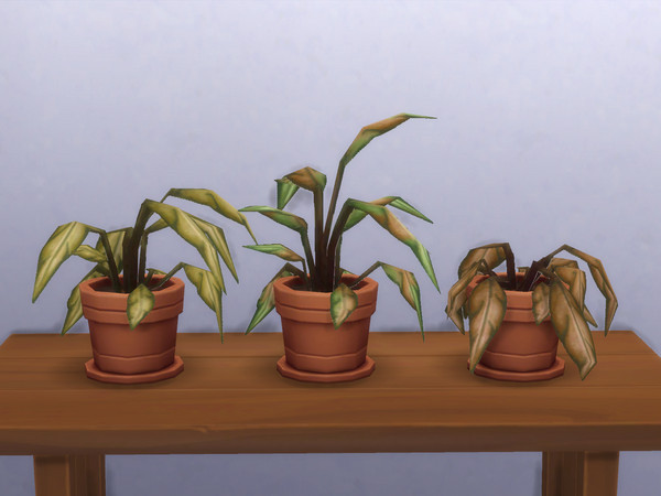 Sims 4 — Mega Fern Partially Dead| dead plants thatsadsack by jasey234 — 2 dead Base Game plants