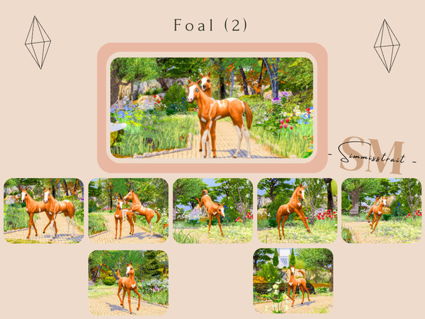 Sims 4 — Foal (2) by simmisstrait — Included: - 8 Poses Disclaimer: