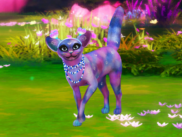 Sims 4 — Sassy Galaxy Cat by PastelHeartKittens — Adopt a sassy galaxy cat she is very spoiled and loves to take things