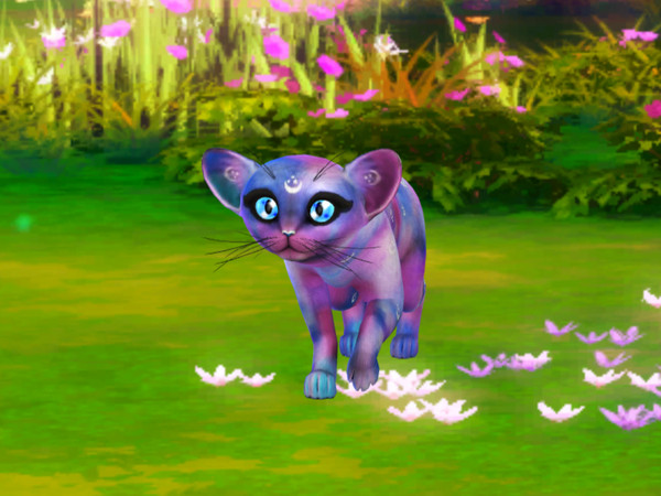 Sims 4 — Wild And Free Cat Eyes Pack 1 by PastelHeartKittens — Let your cat be wild and free with these beautiful eyes