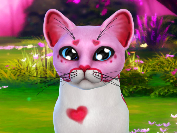 Sims 4 — Cuddly Kitten Cat Eyes Pack 1 by PastelHeartKittens — i just want to squeeze 'em so tight, they're so CUTE!!