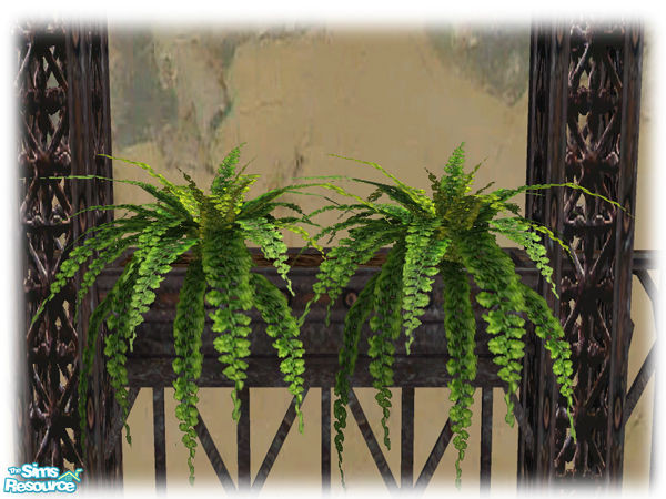 Sims 2 — Bourbon St: Iron Rail Planter - Mesh by Shakeshaft — Part of a set of Wrought Iron based objects, set includes
