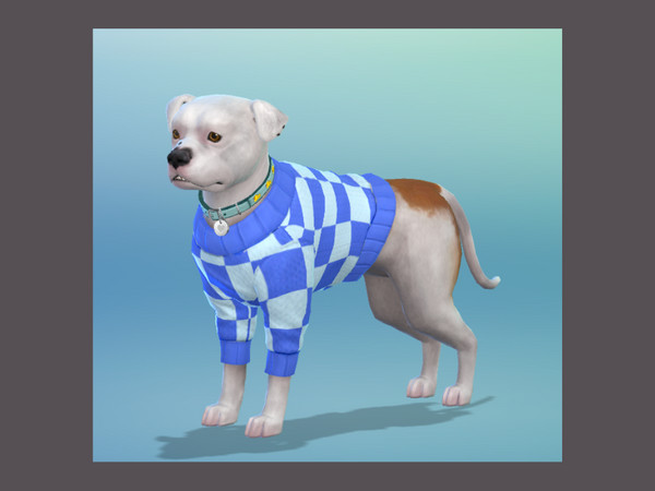 Sims 4 — Electric Blue Checkered Dog Jumper by Konswella — Checkered jumper for small and large dogs