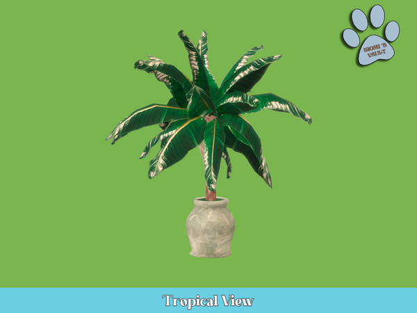 Sims 4 — Tropical View - Plant #05 by siomisvault — Tropical View is a set full of plants for all kind of rooms I hope