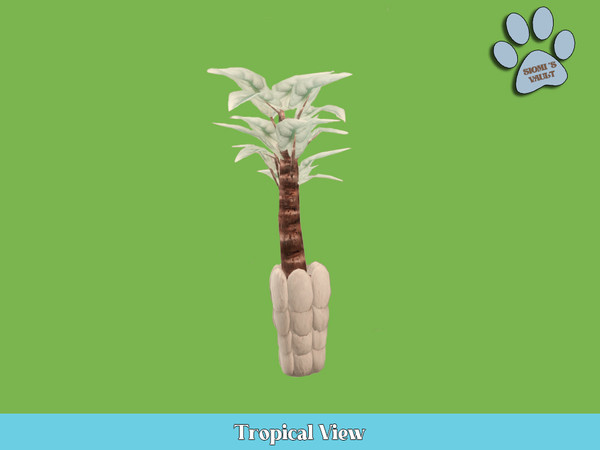 Sims 4 — Tropical View - Plant #07 by siomisvault — Tropical View is a set full of plants for all kind of rooms I hope
