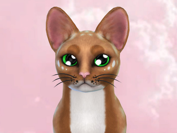 Sims 4 — Cuddly Kitten Eyes Pack 2 by PastelHeartKittens — 2 swatches are added in this pack!