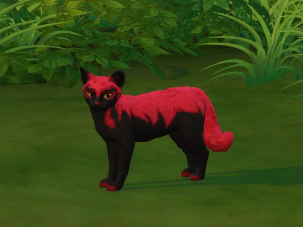 Sims 4 — Odi The Cat by PastelHeartKittens — Odi was once found in a magical forest they think he is a cat, but what is