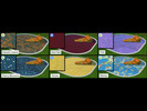 Sims 4 — Pool Water Recolors by aspider_sims — 6 pool water recolors. Autumn Leaves