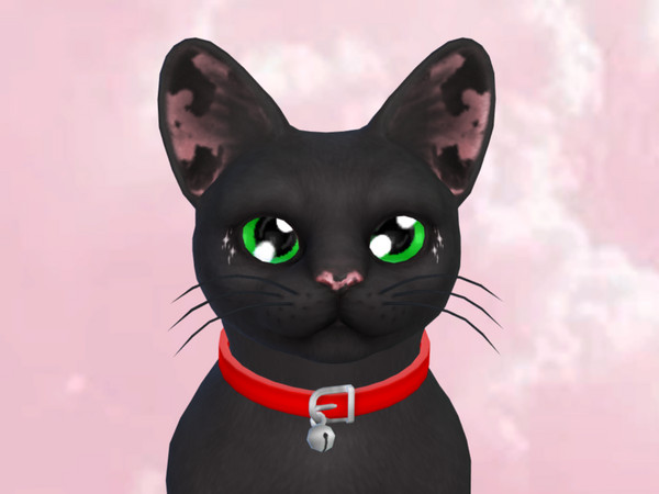 Sims 4 — William The Cat by PastelHeartKittens — William, the cute little cat that will for sure love you! Check out my