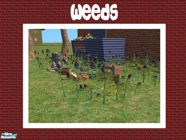 Sims 2 — Garden Weeds by Shakeshaft — Part of a set of complete and utter Rubbish...Fed up of tidy gardens...then this is