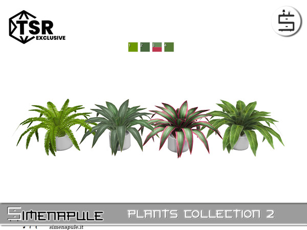 Sims 4 — [SeN4] Plants Collection 2 - Plant 04 by Simenapule — Plants Collection 2Plants Collection 2Plants Collection 2