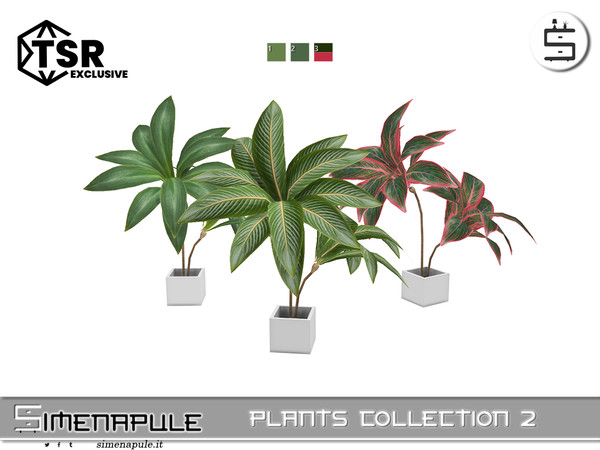 Sims 4 — [SeN4] Plants Collection 2 - Plant 06 by Simenapule — Plants Collection 2Plants Collection 2Plants Collection 2