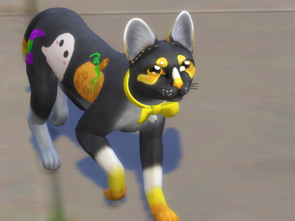 Sims 4 — All Colors Of Cuddly Kitten Cat Eyes! by PastelHeartKittens — Your cute, adorable fur baby will be completed