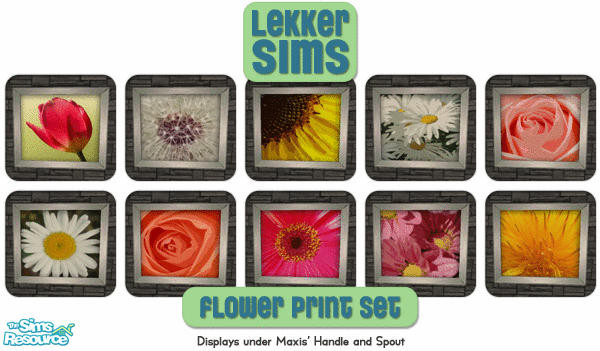 Sims 2 — Lekker Flower Prints by Lekker Sims — By Lekker Sims. A set of 10 floral photos. Displays under Maxis'