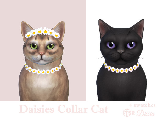 Sims 4 — Daisies Collar Cats by Dissia — Little daisies collar for your cat