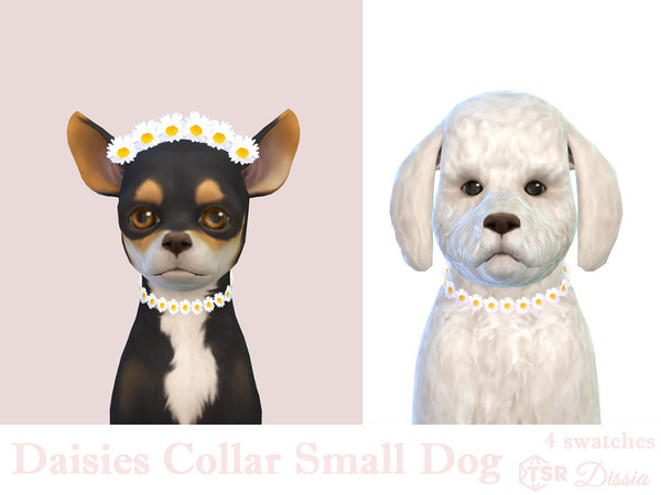 Sims 4 — Daisies Collar Small Dogs by Dissia — Little daisies collar for your small dog