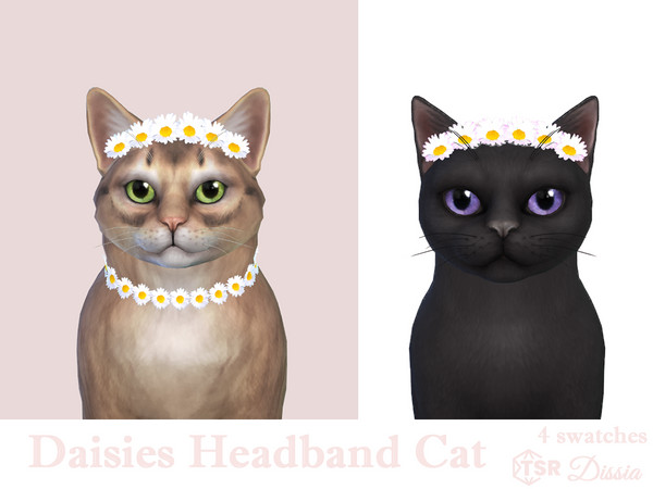 Sims 4 — Daisies Headband Cats by Dissia — Little daisies headband for your cat
