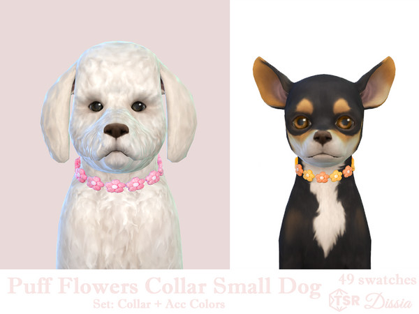 Sims 4 — Puff Flowers Collar by Dissia — Cute crochet puff flower collar for small dog