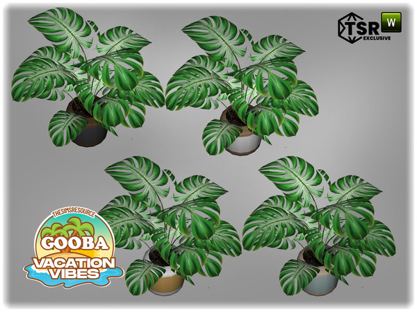 Sims 4 — Jomsims VacationVibes Gooba plant2 by jomsims — Gooba garden set, perfect for a dream vacation by the water.
