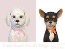 Sims 4 — Tied Scarf Small Dogs by Dissia — Scarf collar for a small dog