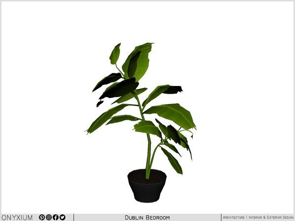 Sims 4 — Dublin Big Plant by Onyxium — Onyxium@TSR Design Workshop Dining Room Collection - Belong To The 2025 Year