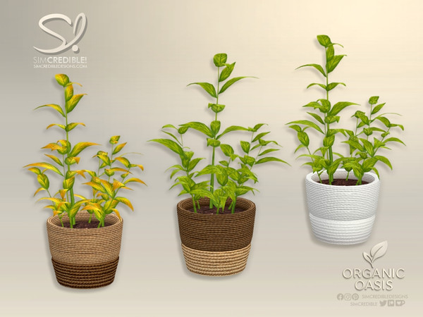 Sims 4 — Organic Oasis Addons Plant 1 by SIMcredible! — Yes, the summer is over... but we prepared a special gift to our