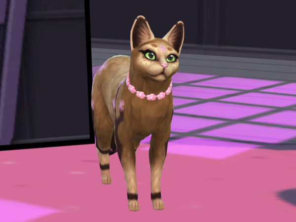 Sims 4 — Maybelle The Sakura Cat by PastelHeartKittens — Enjoy the Sakura warm feelings anywhere with this little pink