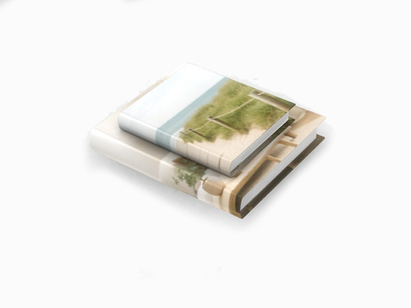 Sims 4 — Contemporary Decor Set - Books 2 by SaeraMaples — A modern style shelf with a set of 9 decorative items.