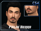 Sims 4 — [CS4] Felix Beard by Choi_Sims_4 — Male Teen to Elder, 7 Colors